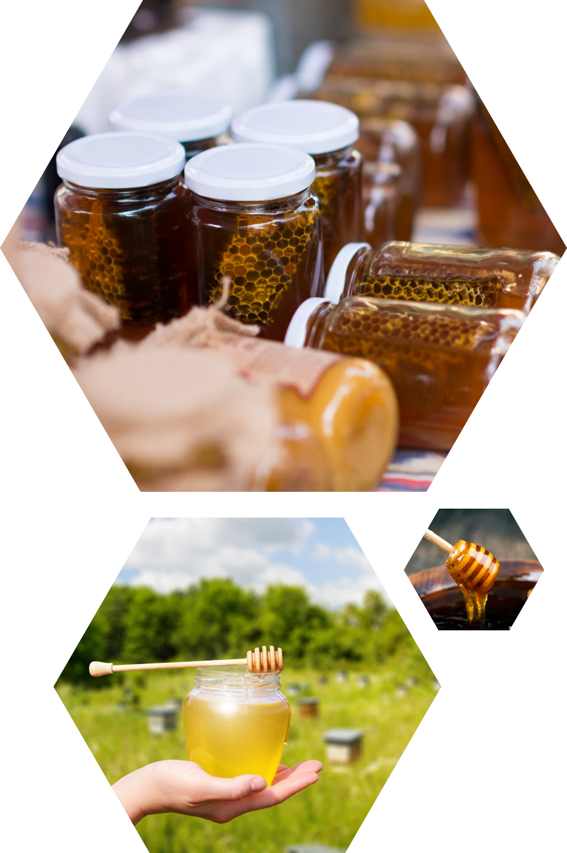 Close-up of honey dripping from dipper