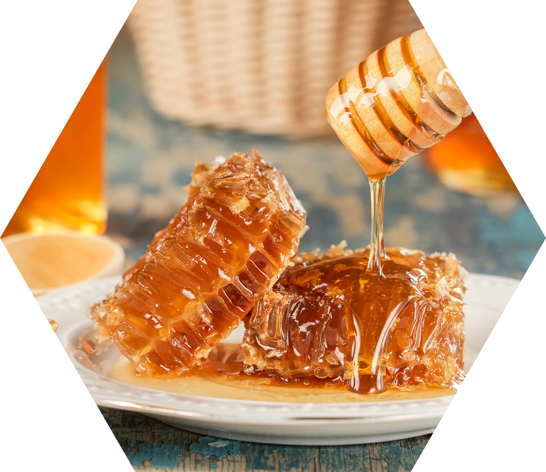Honeycomb with drizzled honey on plate